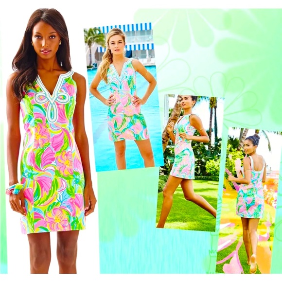 Lilly Pulitzer NWT Tessa Shift Dress So A Peeling Size 2 - Picture 4 of 12